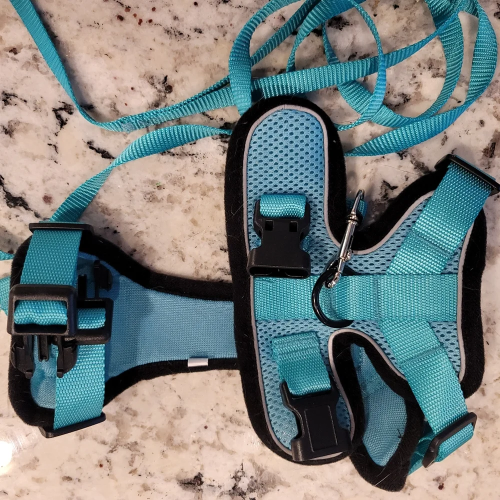 Cat harness lol